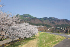 2025bVEzGA lC̍EԌX|bg ԁ 41Ỉ摜28