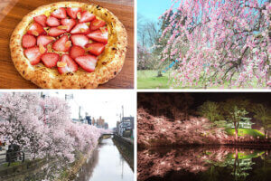 ���T���̐V���C�x���g���b3/29(�y)�30(��)�J�Ẫ��C���摜