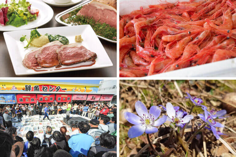 今週末の新潟イベント情報|3/22(土)・23(日)開催 今週末の新潟イベント情報|3/22(土)・23(日)開催