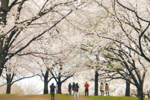 2025bVEzGA lC̍EԌX|bg ԁ 41Ỉ摜2