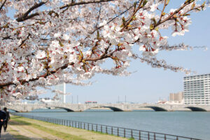 2025bVEzGA lC̍EԌX|bg ԁ 41Ỉ摜3