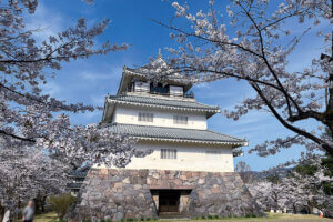 2025bV̂ԌEX|bg50I@Cxg̉摜34