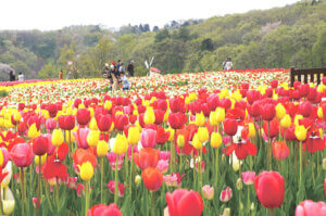 �����ɍs����V���C�x���g���b4/21(��)�`25(��)�̉摜14