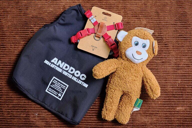 �����Ƃ̃y�A���b�N�O�b�Y���I ���p�i�̃Z���N�g�V���b�v�uANDDOG�v���擌�R�ɃI�[�v���̉摜4