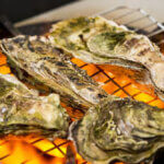 �����ɍs����V���C�x���g���b11/17(��)�`21(��)�̉摜3