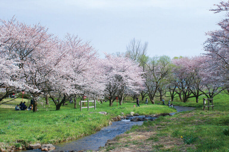 2025�b�V���E���z�G���A �l�C�̍��E���Ԍ��X�|�b�g ��ԁ����� 41�I�̉摜31