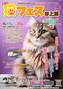 ���T���̐V���C�x���g���b4/19(�y)�E20(��)�J�Ẩ摜11