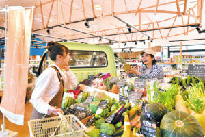 ���s�u���̉w SORAIRO����v�����̉w��܂őS��10�ʂɁI ��Ԃ�BBQ������ŏt���W���[�ɂ����̉摜5