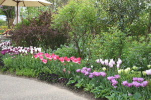 �����ɍs����V���C�x���g���b4/21(��)�`25(��)�̉摜11