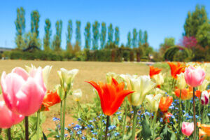 �����ɍs����V���C�x���g���b4/21(��)�`25(��)�̉摜12