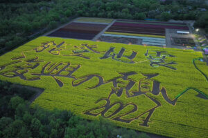 2025�b�V���̃`���[���b�v�� ����6�I�@�����E�C�x���g���̉摜8