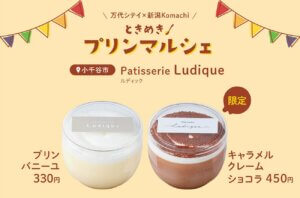 ����̋x�����ʂ�P��C�x���g�u����z�R�e���v�����N��6/21(�y)�22(��)�J�ÁI�����e�n�̃v�������W�߂���D�]�}���V�F�̑�2�e���̉摜16