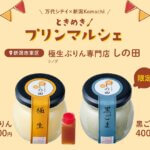 ̋xʂPCxguzRevN6/21(y)22()JÁIeñvW߂D]}VF̑2ẻ摜8