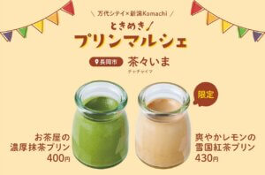 ����̋x�����ʂ�P��C�x���g�u����z�R�e���v�����N��6/21(�y)�22(��)�J�ÁI�����e�n�̃v�������W�߂���D�]�}���V�F�̑�2�e���̉摜13