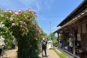 2025bṼo6I Cxg̉摜8