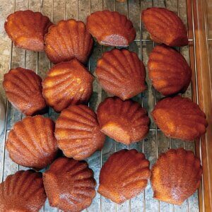 �Ă����ă}�h���[�k���G�߂̃^���g�������̗m�َq�X�ula maison de eF�i�����]���h�G�t�j�v���摾���ɃI�[�v���I�̉摜4