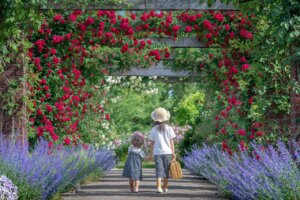 ���T���̐V���C�x���g���b�T/17(�y)�E18(��)�J�Ẩ摜5