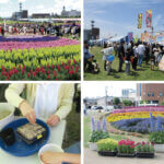 T̐VCxgb5/24(y)E25()JẨ摜12