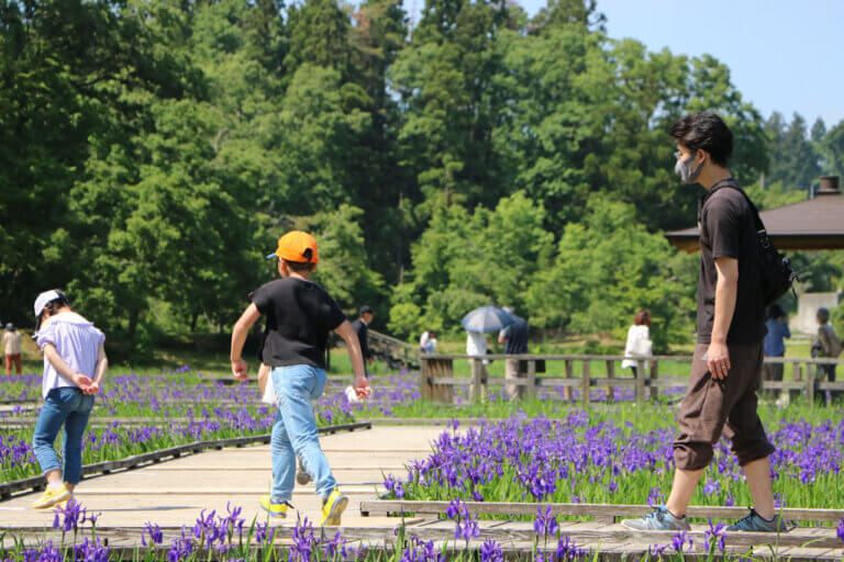 ���T���̐V���C�x���g���b�T/17(�y)�E18(��)�J�Ẩ摜11