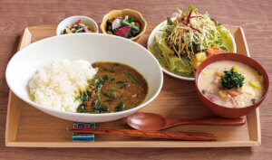 oX ṼWʃ`KCh `Hҁ`̉摜6