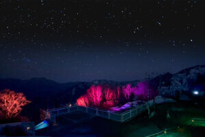 満天の星空を標高1500mから！苗場プリンスホテルの新アクティビティ