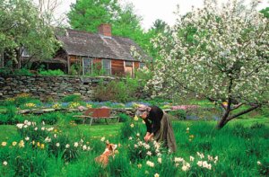 �����ɍs����V���C�x���g���b6/16(��)�`20(��)�̉摜5