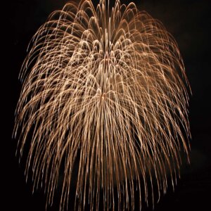 2025�b�V���̉ԉΑ��50�I�@�J�Ó��������ǂ�����̉摜5