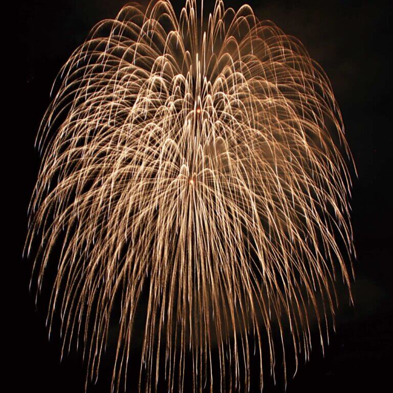 2025�b�V���̉ԉΑ��50�I�@�J�Ó��������ǂ�����̉摜5