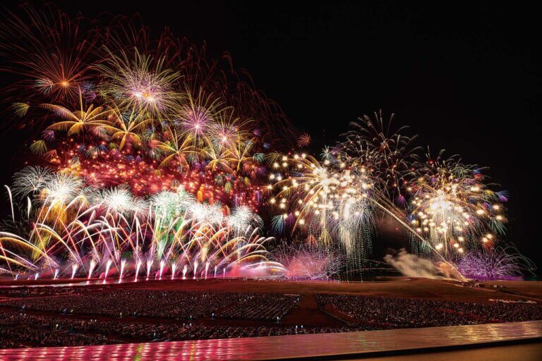 2025�b�V���̉ԉΑ��50�I�@�J�Ó��������ǂ�����̉摜11