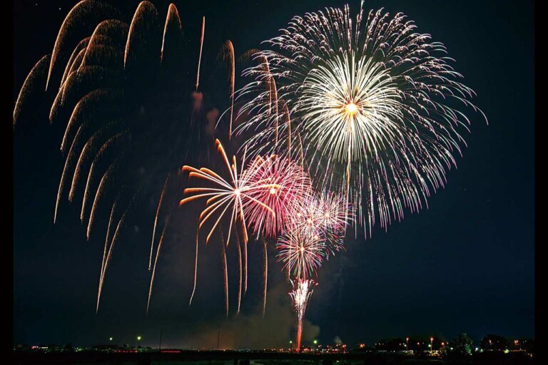 2025�b�V���̉ԉΑ��50�I�@�J�Ó��������ǂ�����̉摜9