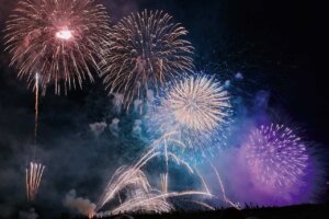 ���T�J�Â����V���̉ԉΑ��܂Ƃ߁b8/4(��)�`11(����j)�̉摜2