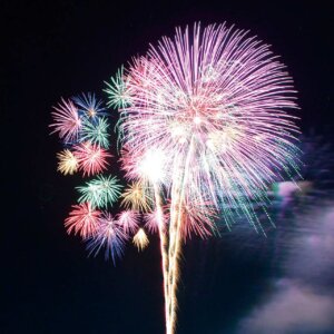 TJÂV̉ԉΑ܂Ƃ߁b8/11(j)`17()̉摜2