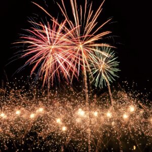 TJÂV̉ԉΑ܂Ƃ߁b8/11(j)`17()̉摜4