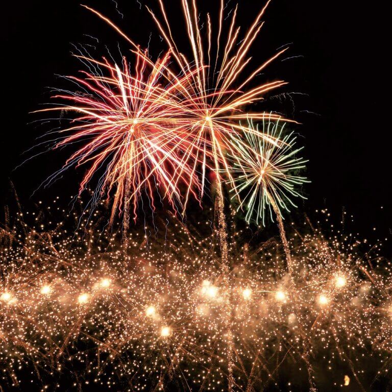 2025�b�V���̉ԉΑ��50�I�@�J�Ó��������ǂ�����̉摜24