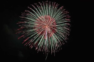 TJÂV̉ԉΑ܂Ƃ߁b8/11(j)`17()̉摜8