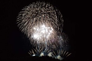 2025�b�V���̉ԉΑ��50�I�@�J�Ó��������ǂ�����̉摜33