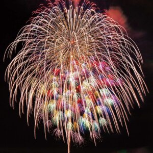 2025�b�V���̉ԉΑ��50�I�@�J�Ó��������ǂ�����̉摜34