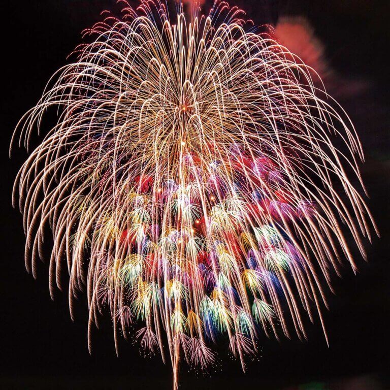 2025bV̉ԉΑ50I@JÓǂ̉摜34