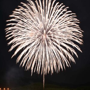 2025�b�V���̉ԉΑ��50�I�@�J�Ó��������ǂ�����̉摜36