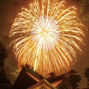 2025�b�V���̉ԉΑ��50�I�@�J�Ó��������ǂ�����̉摜38