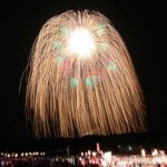 2025bV̉ԉΑ50I@JÓǂ̉摜41