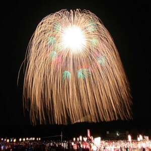 2025�b�V���̉ԉΑ��50�I�@�J�Ó��������ǂ�����̉摜40