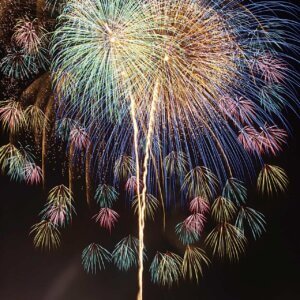 2025�b�V���̉ԉΑ��50�I�@�J�Ó��������ǂ�����̉摜42