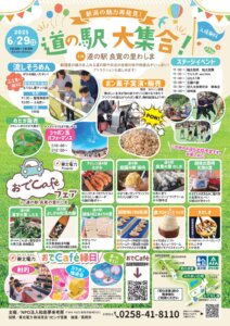 ���T���̐V���C�x���g���b6/28(�y)�E29(��)�J�Ẩ摜9