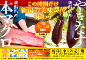 ���T���̐V���C�x���g���b6/28(�y)�E29(��)�J�Ẩ摜4