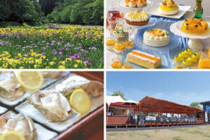 �����ɍs����V���C�x���g���b6/16(��)�`20(��)�̃��C���摜