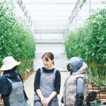 Komachi Presents �j�������Q��v���W�F�N�g�u���^�V�X�^�C���vvol.7 �G���J���b�W�t�@�[�~���O������Ђ̉摜5