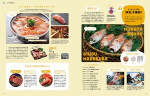 7��25�������IKomachi�ŐV���̓��W�́u�j�C�K�^�C�N�ē��v�̉摜5