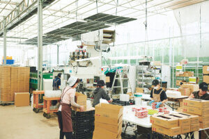 Komachi Presents �j�������Q��v���W�F�N�g�u���^�V�X�^�C���vvol.7 �G���J���b�W�t�@�[�~���O������Ђ̉摜4