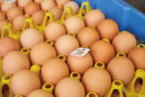 ���ɃV�t�H���P�[�L���X���a���u������ƕĕ��V�t�H���P�[�L Laf�v�t���[�o�[�͓��ւ��6�`7��̉摜4